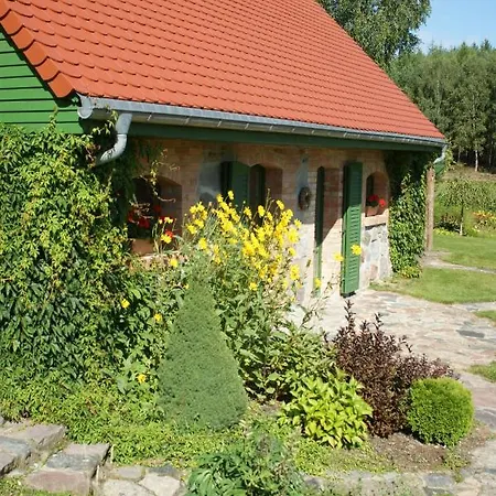 Pustki Rekowskie - Zielone Serce Kaszub Willa