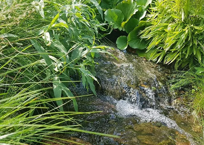 Pustki Rekowskie - Zielone Serce Kaszub Villa *